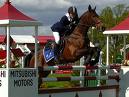 Pain Relief Horse Jumping