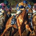 Racing Horses Pain Relief